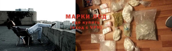 хмурый Алзамай