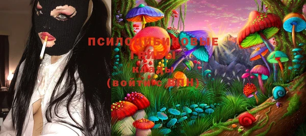 альфа пвп Алексеевка